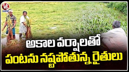 Farmer's Losing Crop Due To Unseasonal Rain Fall | V6 News