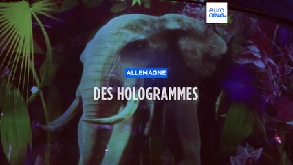 En Allemagne, un cirque remplace les animaux par des hologrammes