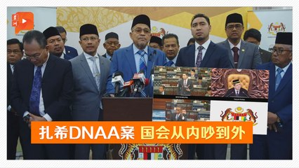 国盟紧咬扎希DNAA课题 要从国会下手触礁？