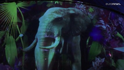 Γερμανία: Τσίρκο με ολογράμματα ζώων