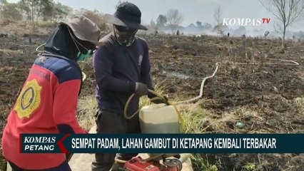 Polisi Tetapkan Satu Tersangka Kebakaran Lahan Gambut di Ketapang