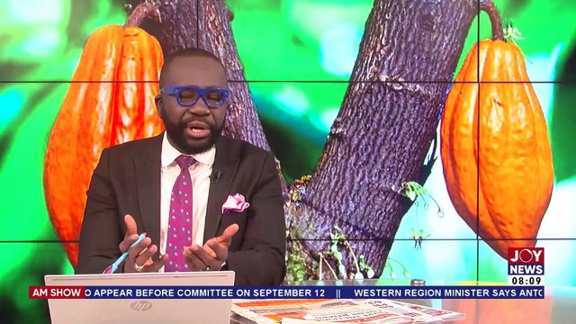 Cocoa Producer Price Up By 63.5%: New price will curb smuggling and land sales to illegal miners - Cocoa Farmers | The Big Stories