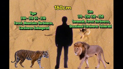 Humans vs. Animals: Key Differences You Should Know 🧠