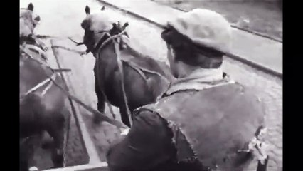 Pokolenia - film wojenny