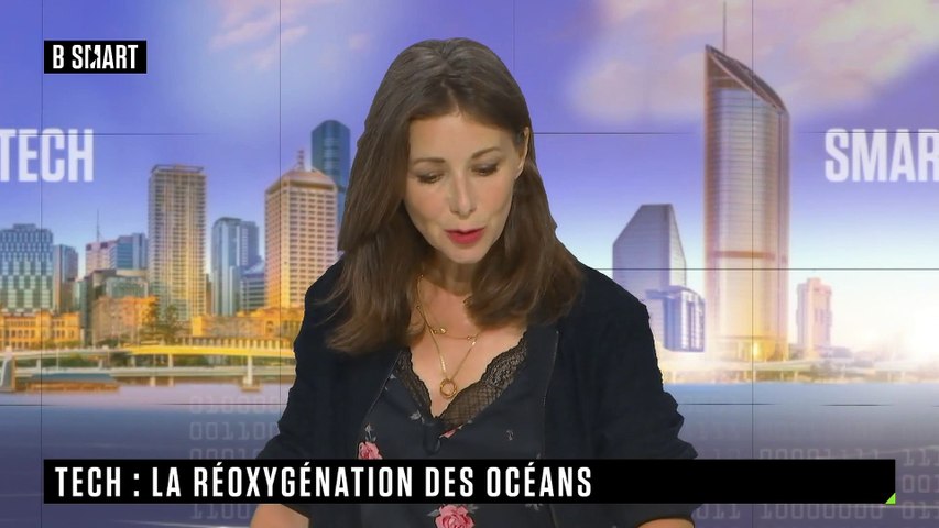 Un projet scientifique d’envergure pour réoxygéner les océans 