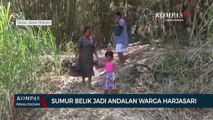 下载视频: Warga Tegal Gali Belik di Sungai Kering, Krisis Air Bersih Akibat Kemarau