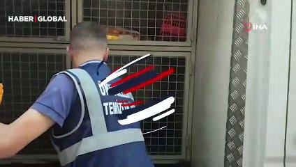 Saldırıya uğrayan ve yaralı halde bulunan karaca tedavi altına alındı