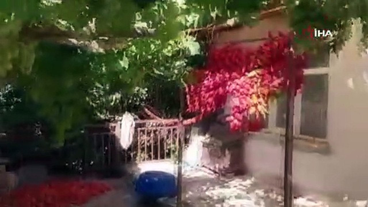 'Kim Milyoner Olmak İster' yarışmasında 1 milyon lira kazanan Rabia Birsen Göğercin'i köylüleri anlattı