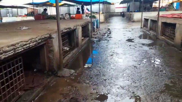 पचास लाख रुपए खर्च कर बनाई मंडी के चबूतरों से बाहर निकल रहा लोहे का जाल, हर माह सवा लाख रुपए की वसूली के बाद भी गंदगी