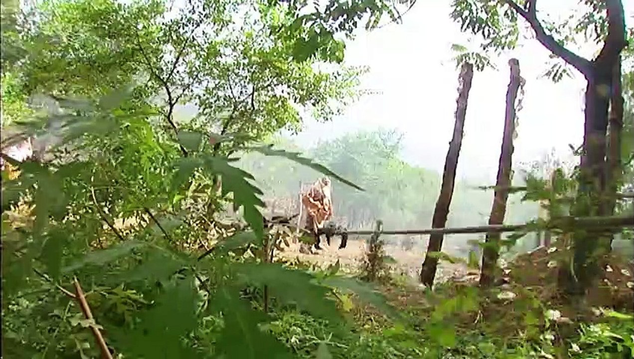 Invencível Shaolin Kungfu Velho foi emboscado por assassinos, mas na verdade ele é um mestre Kungfu