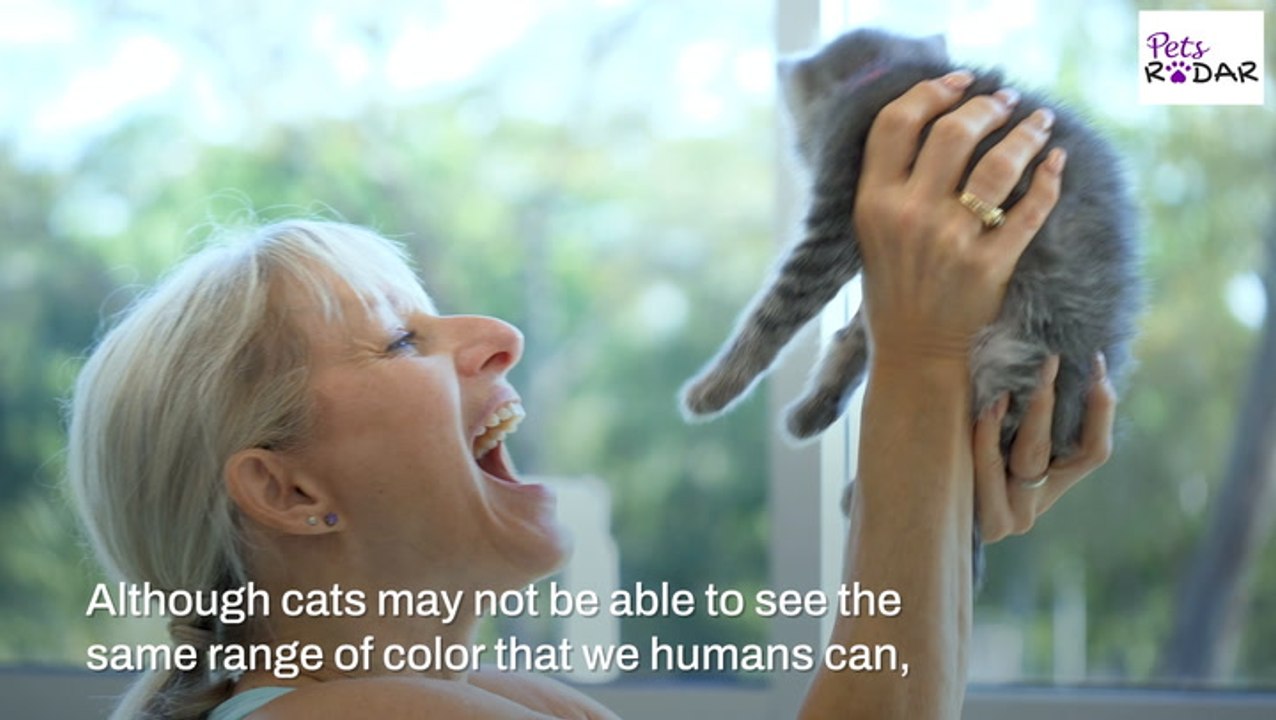 Do Cats See Color? | PetsRadar