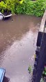 Walsh Avenue homes in South Tyneside flooded by storm