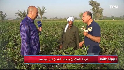 فرحة الفلاحين بحصاد القطن في عيدهم | بالورقة والقلم