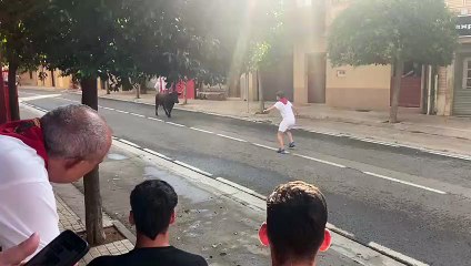 Peligrosa cogida a un joven en las vacas de Cintruénigo