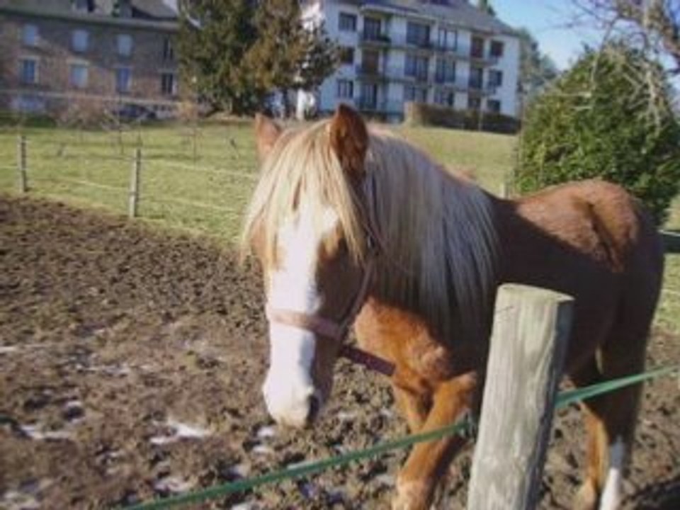 SansTitre_0001