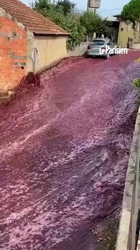 Du vin rouge inonde les rues d'un village au Portugal