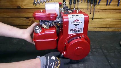 1984 5hp Briggs & Stratton engine Startup.