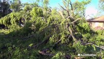 Preparing trees for powerful winds