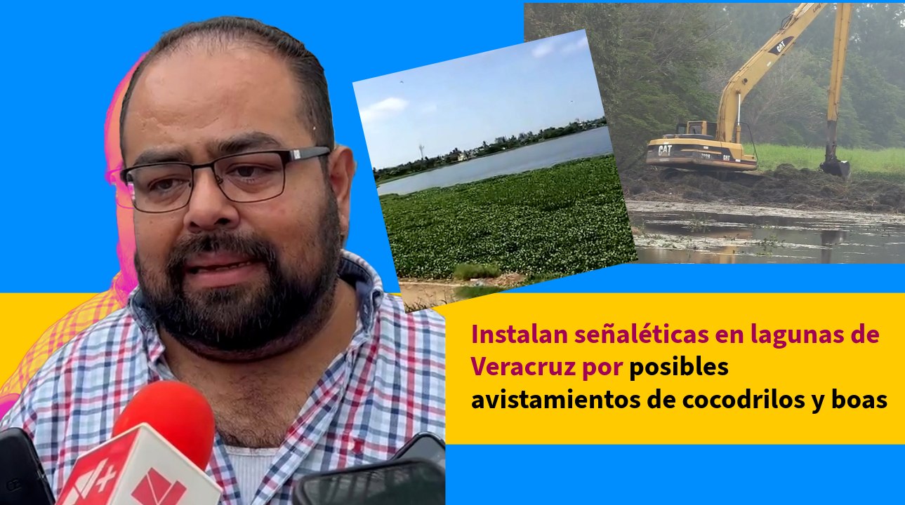 Instalan señaléticas en lagunas de Veracruz por posibles avistamientos de cocodrilos y boas