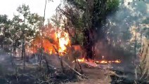 Bomberos forestales trabajan para controlar incendio en área recreativa Loma Guaigüí