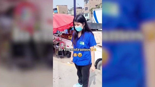 Rescatan a perrito atropellado en SJL y veterinarios se unen para salvarlo