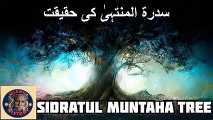 Sidrat-ul-Muntaha: The Mystical Tree in Islamic Belief 🌿