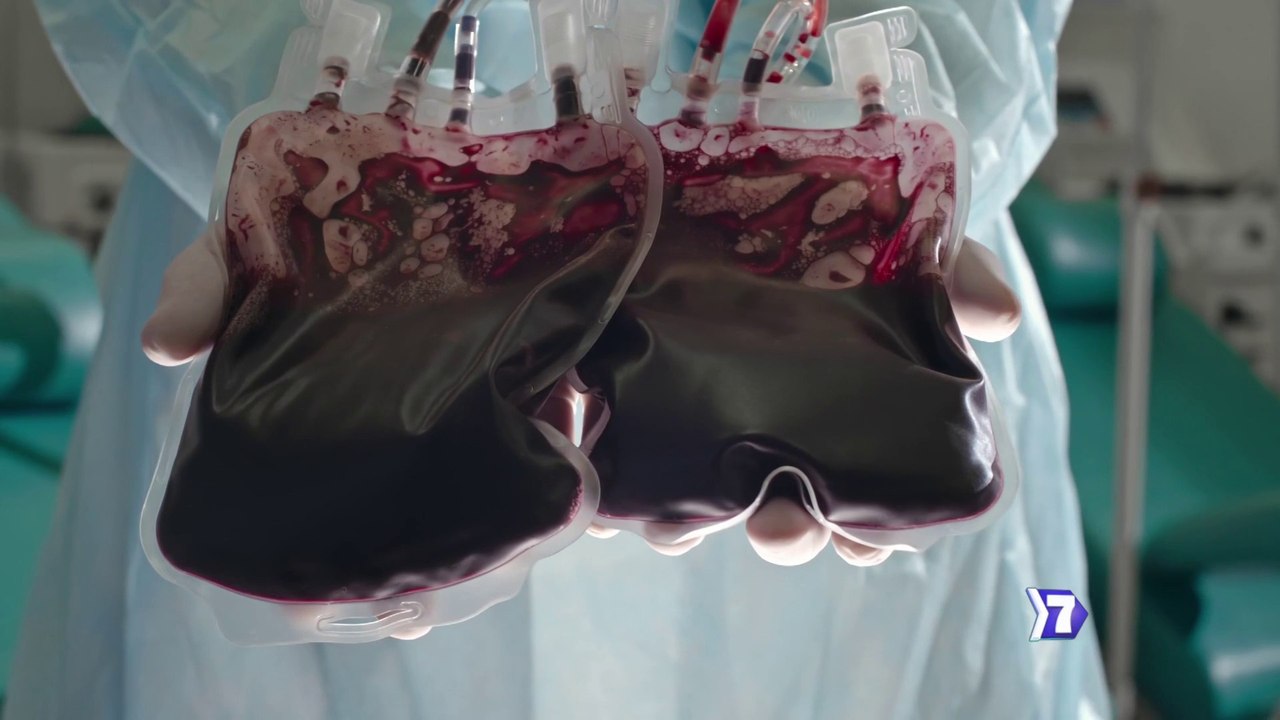 7dias-sangre-artificial-110923