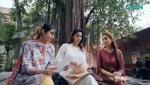 Tumharey Husn Kay Naam Episode 02 Saba Qamar Imran Abbas Green TV