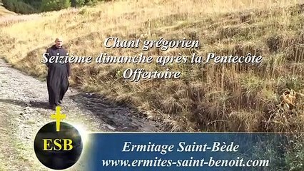 Offertoire Domine in auxilium du Seizième dimanche après la Pentecôte - Ermitage Saint-Bède Jean-Claude Guerguy pour Ciné Art Loisir.