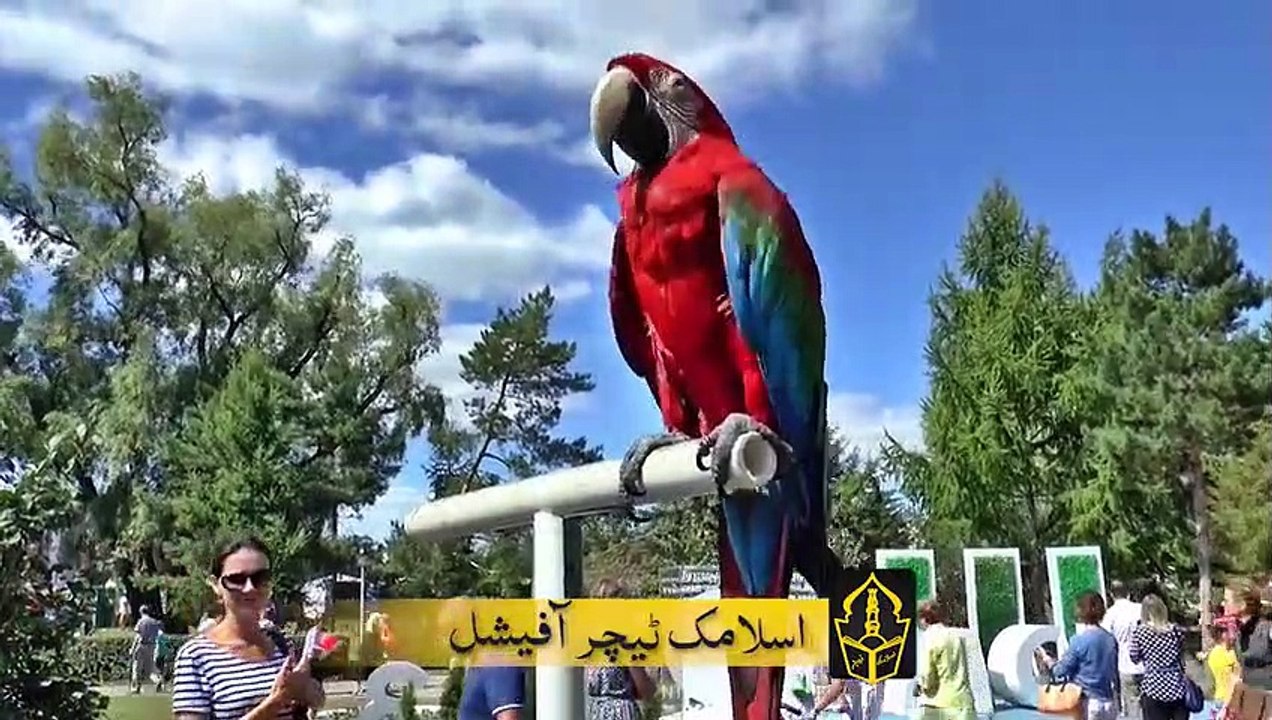 Gar Main Tota Palny Gar Main Konsa Azab Nazil Hota Hai    Why Islam forbids keeping parrots at home