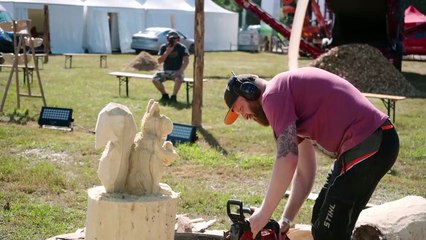 Gazeta Lubuska. Mostki. Rzeźby tworzone piłami motorowymi