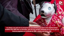Lanza Sony un 'programa de padres adoptivos' para perros robot