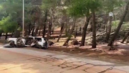 Kasırganın yerle bir ettiği Libya'nın son hali, durumun vahametini ortaya koyuyor