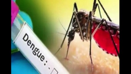 डेंगू-मलेरिया से जुबान और आंखें निकाल लेने तक.. सनातन पर सियासी लड़ाई में अब साध्वी प्रज्ञा-गजेंद्र शेखावत की एंट्री!