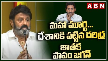 మహా మూర్ఖ... దేశానికి పట్టిన దరిద్ర జాతక - పాపం జగన్ | Balakrishna Press Meet | ABN Telugu