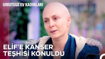 Elif Arkadaşlarından Kanser Hastalığını Sakladı - Umutsuz Ev Kadınları 58. Bölüm