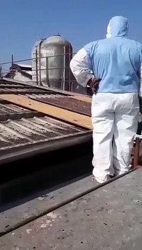 Ces ouvriers découvrent quelque chose d'incroyable en désamiantant un toit