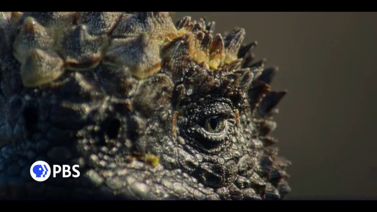 Evolution Earth Trailer