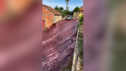 Tanker patladı, caddeleri şarap seli götürdü