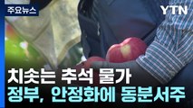 추석 앞두고 치솟는 물가에 가격 잡기 '동분서주' / YTN