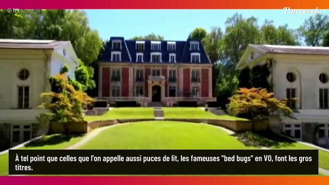 Ils sont envahis... : Cette émission culte qui a vécu un enfer à cause des punaises de lit, un candidat se lâche !