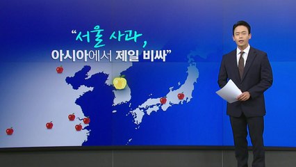 '사과부터 달걀까지'...아시아 최고 '서울 물가' [앵커리포트] / YTN