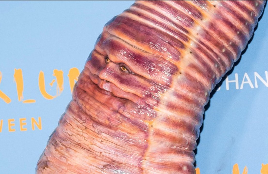 Heidi Klum: Extravagante Halloween-Pläne