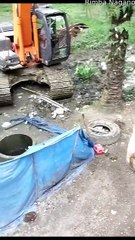 Cow Found Alive After Night in Residents Well