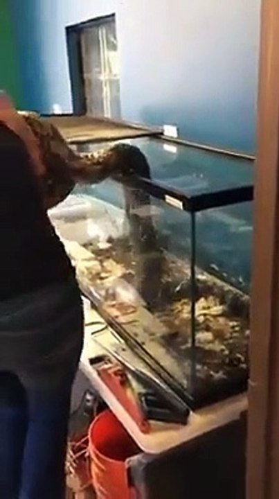 People doing stupid things