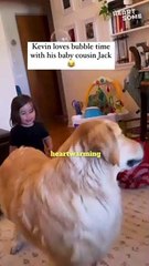 Smiles Galore: Toddler and Dog's Bubble Playdate! || Heartsome 