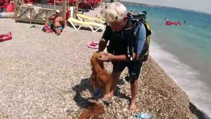 Türkiye'nin cennetini dipten saran ölüm tuzakları su üstüne çıkarıldı