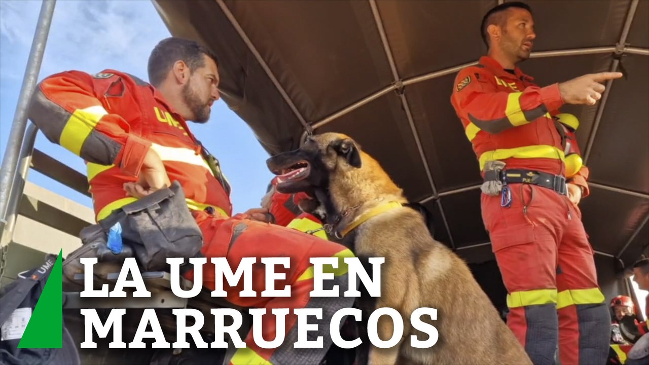 Más de 50 militares y cuatro perros de la UME trabajan en las labores de rescate en Marruecos