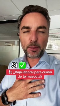 ¿Puedes pedir la baja laboral para cuidar a tu mascota? Habla el abogado de TiKTok