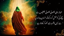 Top Hazrat Ali Quotes in Urdu | aqwal e zareen in urdu hazrat ali | Best aqwal e zareen in urdu